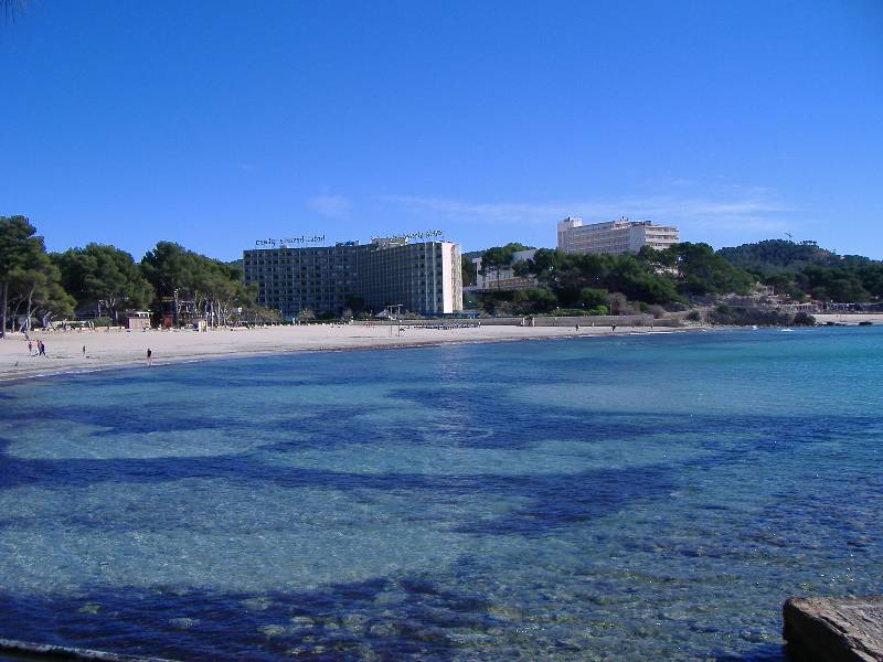 Mallorca Februar 07 (13) 